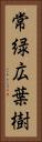 常緑広葉樹 Vertical Portrait