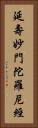 延壽妙門陀羅尼經 Vertical Portrait