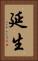 延生 Vertical Portrait