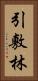 引敷林 Vertical Portrait