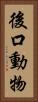 後口動物 Vertical Portrait