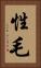 性毛 Vertical Portrait