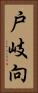 戸岐向 Vertical Portrait