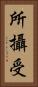 所攝受 Vertical Portrait