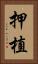 押植 Vertical Portrait