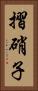 摺硝子 Vertical Portrait