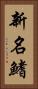 新名鰭 Vertical Portrait