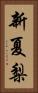 新夏梨 Vertical Portrait