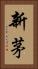 新茅 Vertical Portrait
