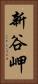 新谷岬 Vertical Portrait