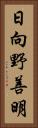 日向野善明 Vertical Portrait