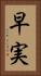 早実 Vertical Portrait