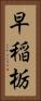 早稲栃 Vertical Portrait