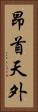 昂首天外 Vertical Portrait