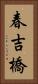 春吉橋 Vertical Portrait