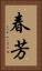 春芳 Vertical Portrait