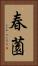 春薗 Vertical Portrait