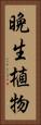 晩生植物 Vertical Portrait