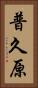 普久原 Vertical Portrait