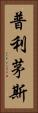 普利茅斯 Vertical Portrait