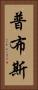 普布斯 Vertical Portrait