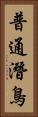 普通潛鳥 Vertical Portrait