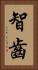 智齒 Vertical Portrait