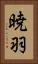 暁羽 Vertical Portrait