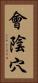 會陰穴 Vertical Portrait