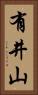 有井山 Vertical Portrait