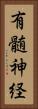 有髄神経 Vertical Portrait