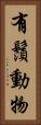 有鬚動物 Vertical Portrait
