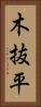 木抜平 Vertical Portrait
