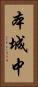 本城中 Vertical Portrait