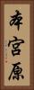 本宮原 Vertical Portrait
