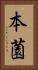 本薗 Vertical Portrait
