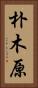 朴木原 Vertical Portrait