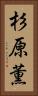 杉原薫 Vertical Portrait