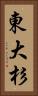 東大杉 Vertical Portrait