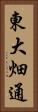 東大畑通 Vertical Portrait