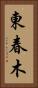 東春木 Vertical Portrait