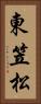 東笠松 Vertical Portrait