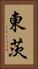 東茨 Vertical Portrait