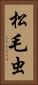 松毛虫 Vertical Portrait