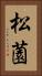 松薗 Vertical Portrait