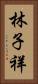 林子祥 Vertical Portrait