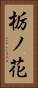 栃ノ花 Vertical Portrait