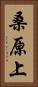 桑原上 Vertical Portrait