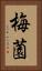 梅薗 Vertical Portrait