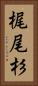 梶尾杉 Vertical Portrait